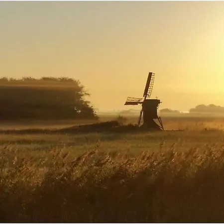 Buitenplaats 79 Nyaraló