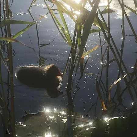 Buitenplaats 79 Callantsoog