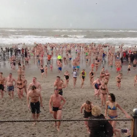 Buitenplaats 79 Ferienhaus *