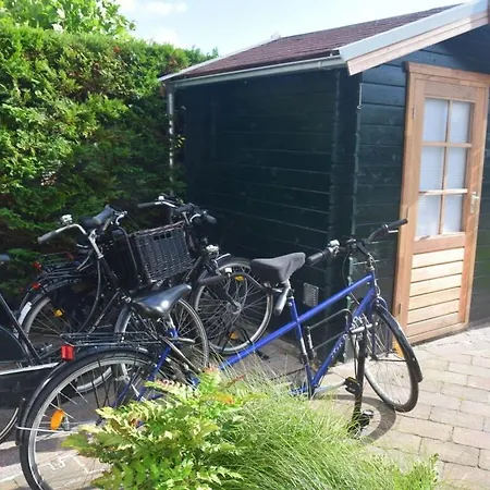 Buitenplaats 79 Ferienhaus Callantsoog