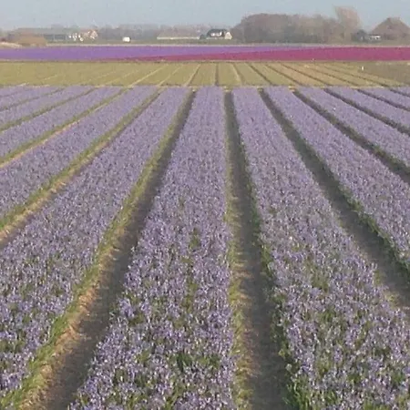 Buitenplaats 79 Ferienhaus *