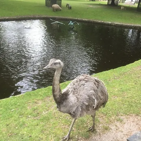 Buitenplaats 79 * Callantsoog