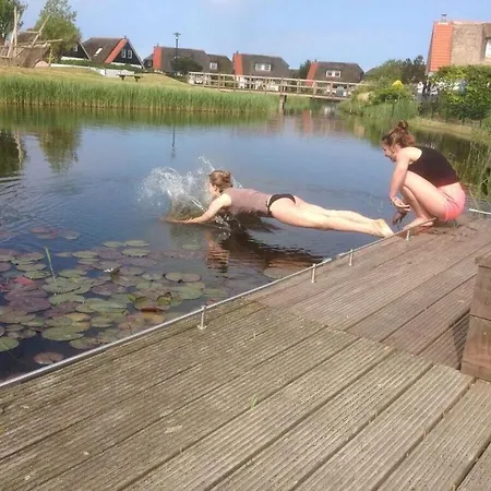 Ferienhaus Buitenplaats 79 *